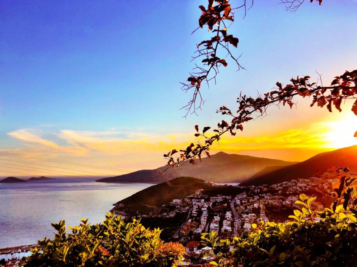 Villa Valo Kalkan Extérieur photo