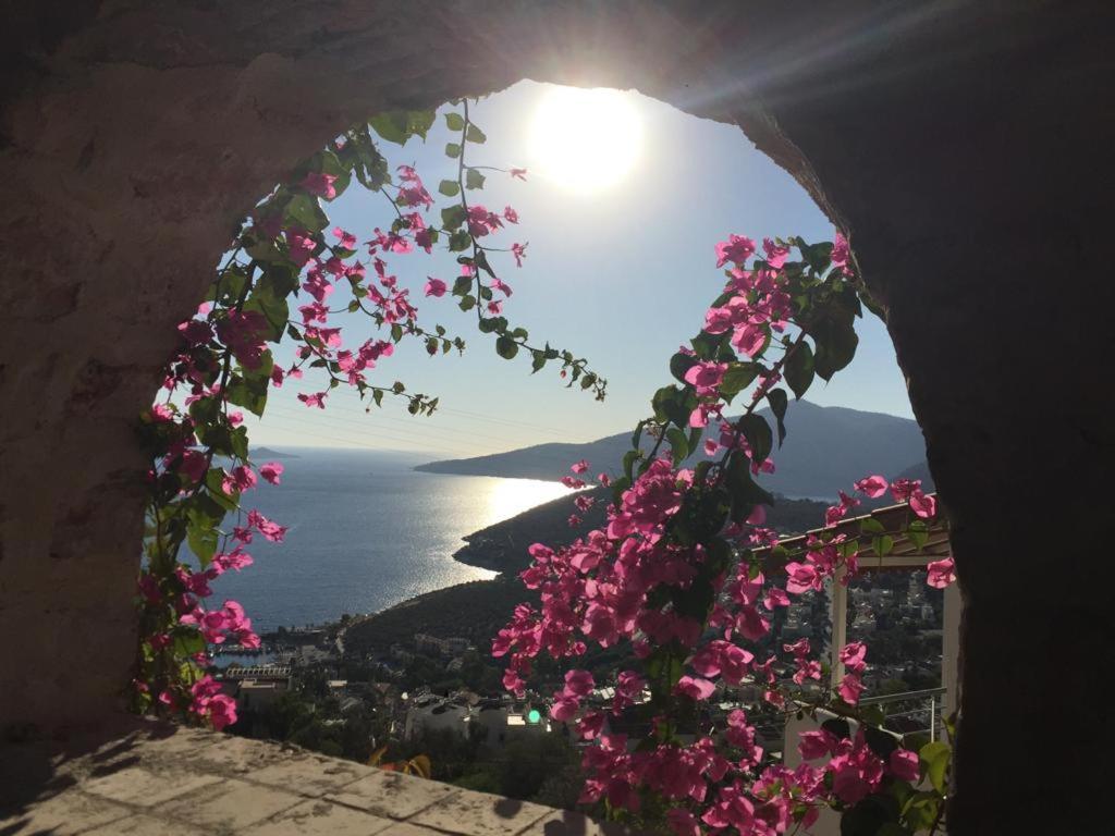 Villa Valo Kalkan Extérieur photo