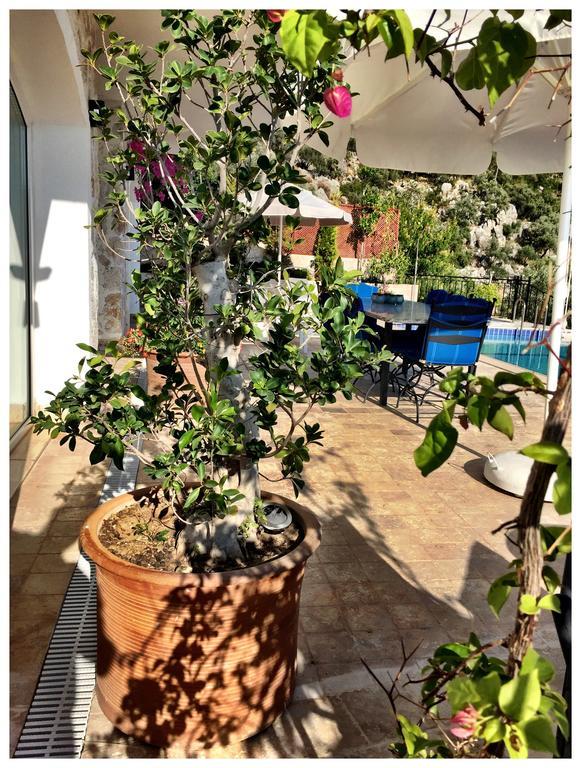 Villa Valo Kalkan Chambre photo