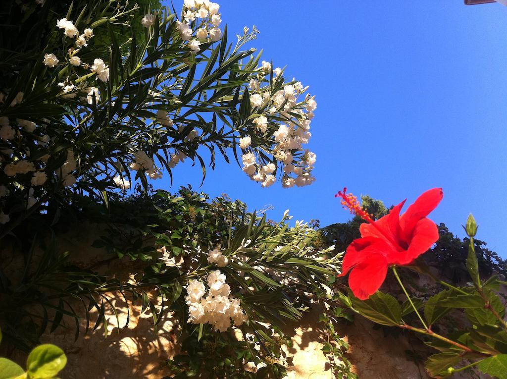 Villa Valo Kalkan Chambre photo